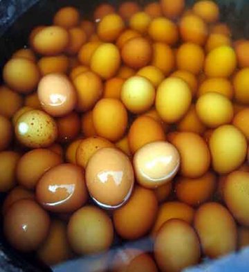 一生必尝20种另类食物