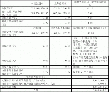昆明制药集团股份有限公司2005第一季度报告（节录）