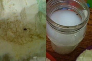 多美滋一包奶粉现四只虫 客服称退货难度大