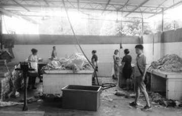 四川破获病死猪制香肠案 加工厂苍蝇乱飞