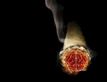 男性健康：警惕前列腺的十大危险因素