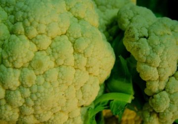容易烦躁怎么办 常吃7种食物可抑制