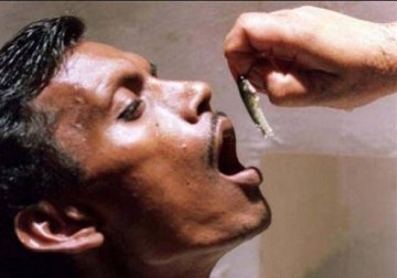 印度儿童吃活鱼治哮喘
