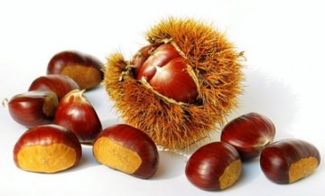 冬季常吃哪些食物可润肺生津