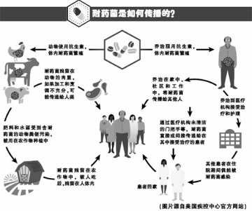 美国疾控中心最新发布 抗生素耐药传播路线图
