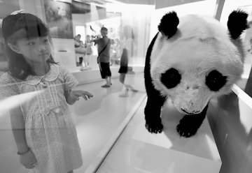 中国分类学急剧萎缩 后继乏人成专家心病