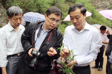 全国中药资源普查组到涉县检查中药资源普查工作