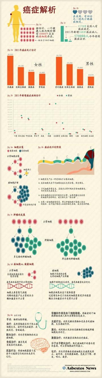 信息图：解析癌症