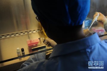 北京规范H7N9检测流程