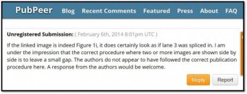 日理化研究所调查干细胞突破性研究是否造假