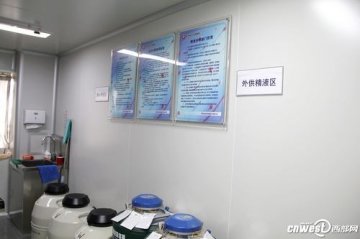 实拍人类精子捐赠全过程