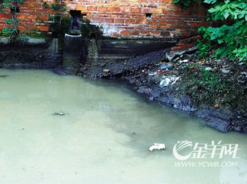 炼油厂黑水染污小溪 农民烧垃圾烟扰街坊