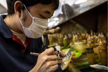 探访日本的食物模型工厂 仿真度极高
