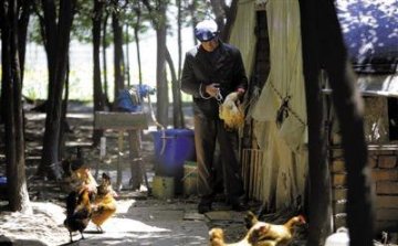 上海南京猪肉禽类因禽流感销售受冲击
