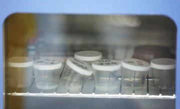 实拍精子志愿者捐献全过程