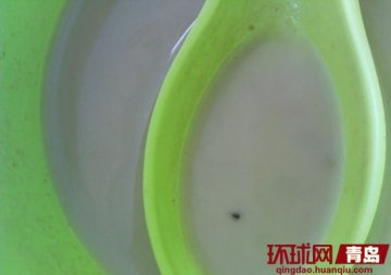 吉阿婆麻辣烫吃出飞虫 店员欲当场吃虫证无害