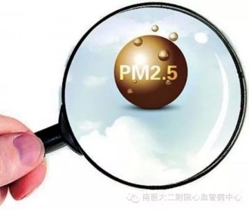 PM2.5与心血管疾病的“恩怨”