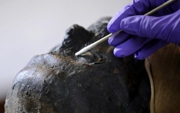 美医院开棺清理修复埃及2500年木乃伊