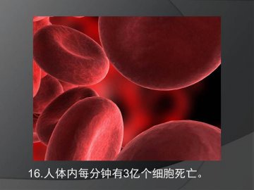 19个有趣的人体奥秘