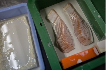 探访日本的食物模型工厂 仿真度极高