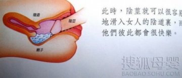 让人脸红的国外性教育图