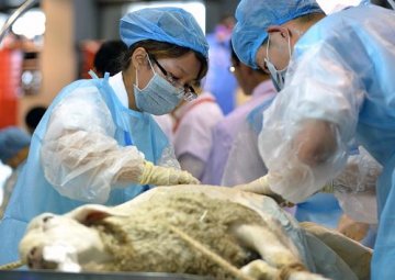全国大学生第三届动物医学专业技能大赛举行