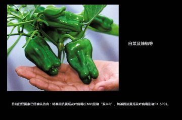 如何辨别转基因食品