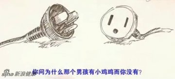 为什么男女性器官不同