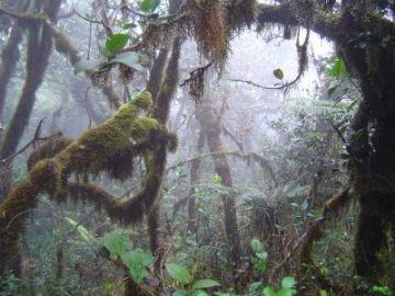利用微生物基因测序可提高生物燃料产出效率