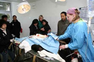 黑熊被人取胆后竟患上恶性肝癌图