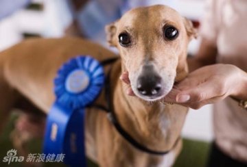 长寿的18个秘诀