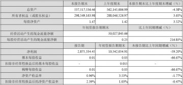 紫光古汉集团2007年第三季度报告（节录）