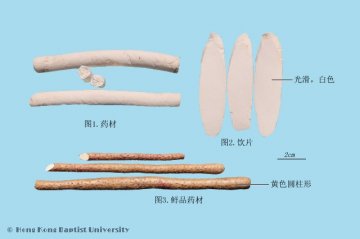 山药（Shanyao）中药材鉴别照片