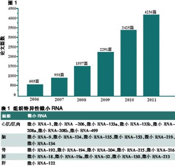 微小RNA，生命科学界的明星
