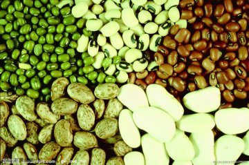 精子杀手-豆类及豆制品
