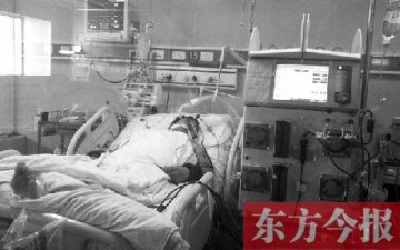 河南2人感染H7N9禽流感 7760只鸡已无害化处理