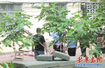 男子仅穿内裤疑翻窗失足坠亡