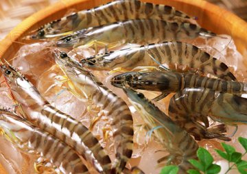 专家揭年度7大饮食谣言