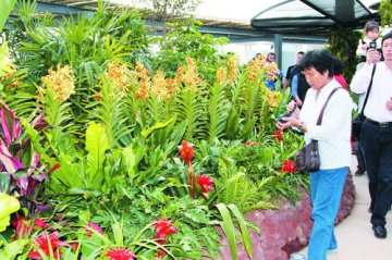 花园城市环保为先