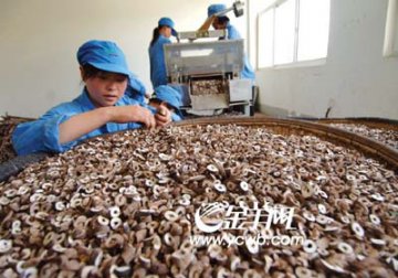 无一例中药通过欧盟注册