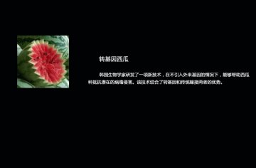如何辨别转基因食品