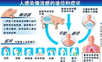 韩国发现首例猪流感疑似病例