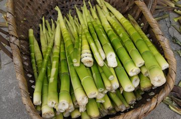 果蔬减肥法：15种果蔬轻松减去大肚腩