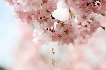 春季养生关键词：养肝早睡披发