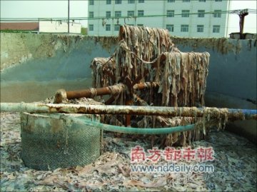 皮革废料如何变身食用明胶