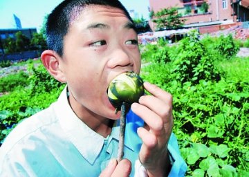 流浪儿8年每日以番茄为主食