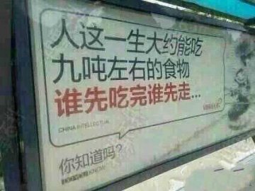 粉碎流言：9吨食物不会终结你的人生