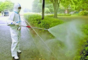 日增19人染登革热
