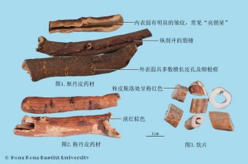 牡丹皮（Mudanpi）中药材鉴别照片