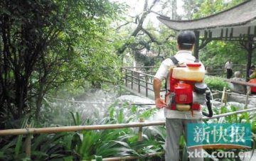 广东2人染恙虫病致死 夏季皮肤病门诊增三成